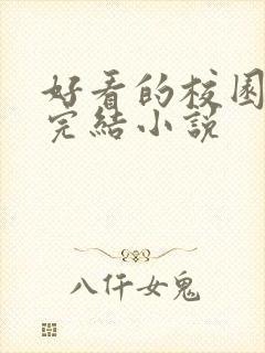 好看的校园言情完结小说封面