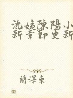 沈姨陈阳小说最新章节更新时间表