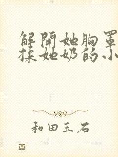 解开她胸罩使劲揉她奶的小说