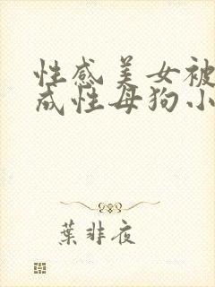 性感美女被调教成性母狗小说