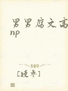 男男腐文高h肉np