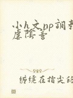 小h文np调教虐阴蒂