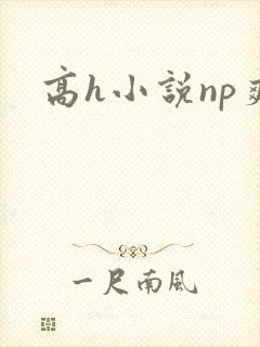 高h小说np爽