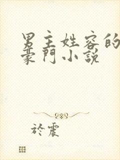 男主姓容的现代豪门小说