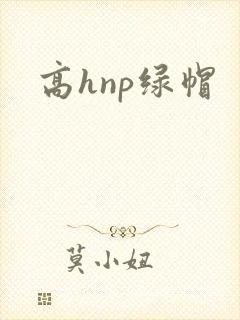 高hnp绿帽