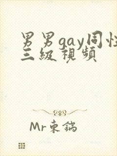 男男gay同性三级视频