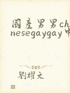 国产男男chinesegaygay中国帅哥网站