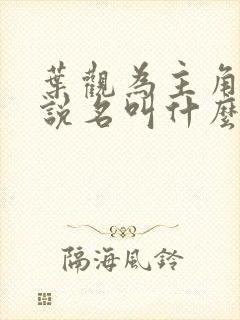 叶观为主角的小说名叫什么