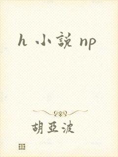 h 小说 np