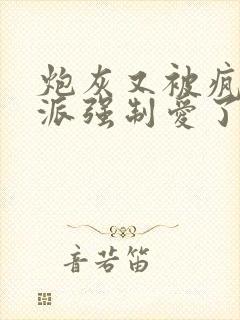 炮灰又被疯批反派强制爱了 小说