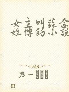 女主叫苏念男主姓傅的小说