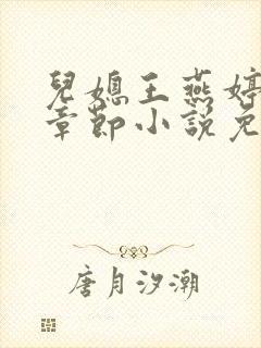 儿媳王燕婷最新章节小说免费阅读