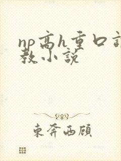 np高h重口调教小说