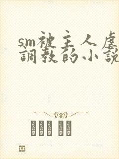 sm被主人虐玩调教的小说