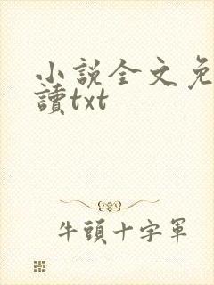 小说全文免费阅读txt