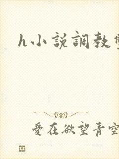 h小说调教双性封面