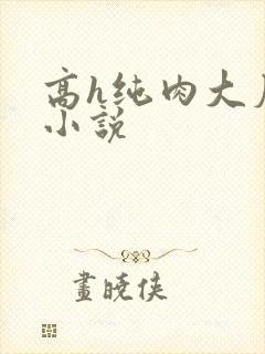 高h纯肉大尺度小说