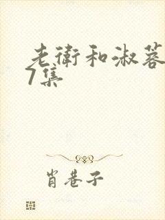 老卫和淑蓉1一7集