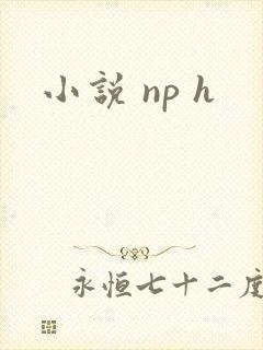小说 np h