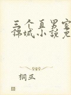 三个直男室友赵锦城小说免费阅读