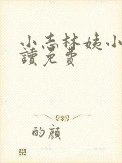 小志林姨小说阅读免费