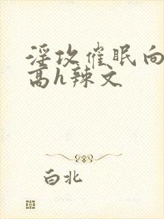 淫攻催眠向np高h辣文