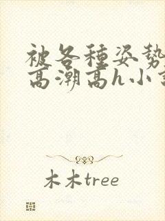 被各种姿势c到高潮高h小说