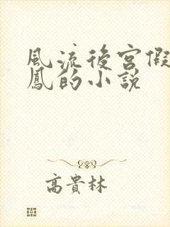 风流后宫假龙真凤的小说