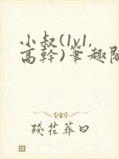 小叔(1v1,高干)笔趣阁小说