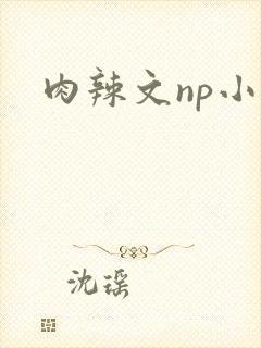 肉辣文np小说