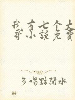 我有七个大佬哥哥小说免费阅读无弹窗