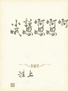 小说啊啊啊哦哦哦嗯嗯嗯