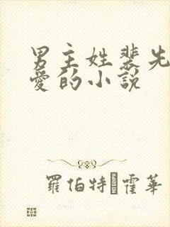 男主姓裴先婚后爱的小说