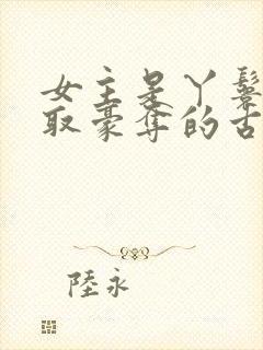 女主是丫鬟被强取豪夺的古言