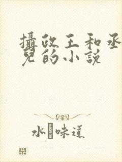 摄政王和丞相女儿的小说封面