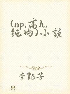 (np,高h,纯肉)小说
