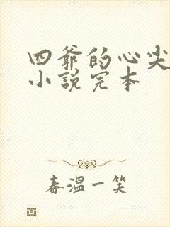 四爷的心尖宠妃小说完本