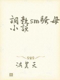 调教sm骚母狗小说