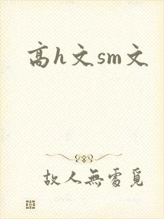 高h文sm文