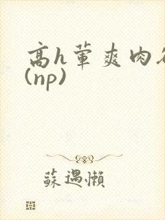 高h荤爽肉欲文(np)封面