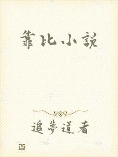 靠比小说