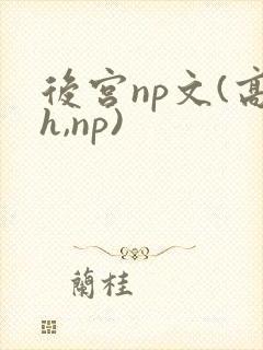 后宫np文(高h,np)
