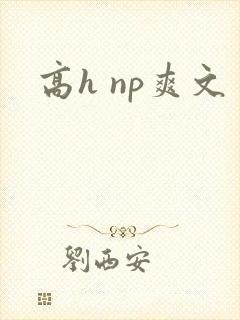 高h np爽文