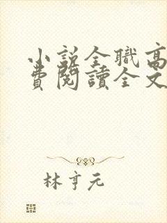 小说全职高手免费阅读全文无窗口封面