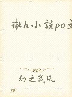 微h小说po文