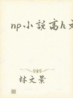 np小说高h文