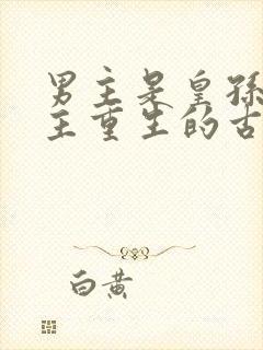 男主是皇孙,女主重生的古言