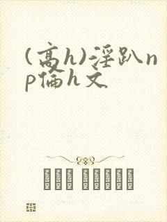(高h)淫趴np伦h文