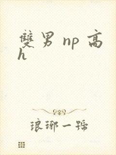 双男 np 高h封面