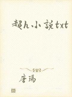 超h小说txt